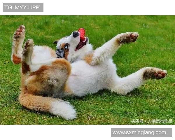 小姜心目中的足球明星是谁他为何如此崇拜他