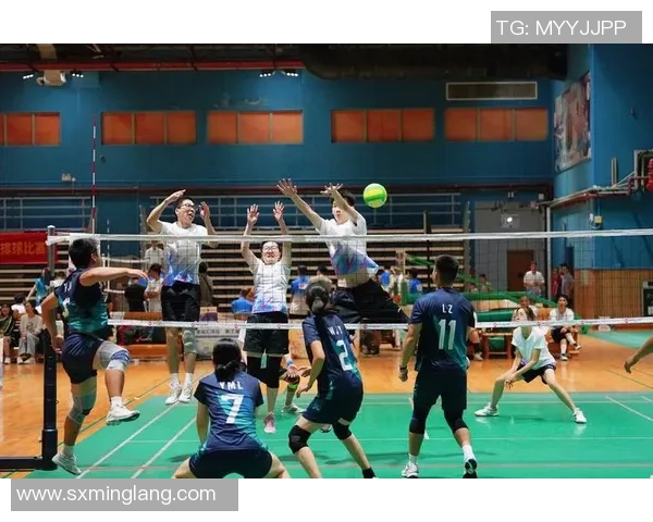 张静独家分享：深入探讨排球技巧与训练心得，助你提升竞技水平