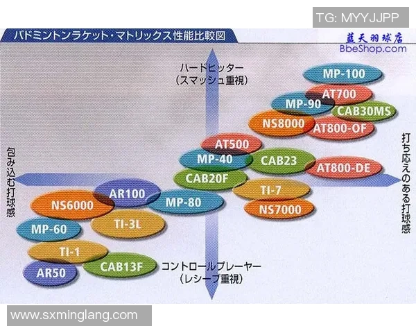 广州羽毛球队技术对比深度解析揭示球队实力与发展潜力 广州羽毛球队技术对比深度解析揭示球队实力与发展潜力