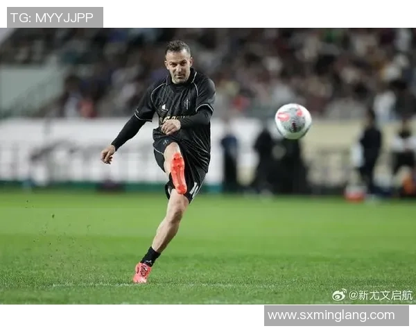 足球明星风采大揭秘及其精彩人生简介与图片展示