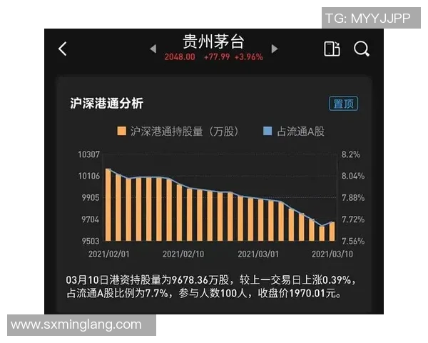 深圳与成都篮球队对决后分析比赛节奏与战术执行的深度复盘