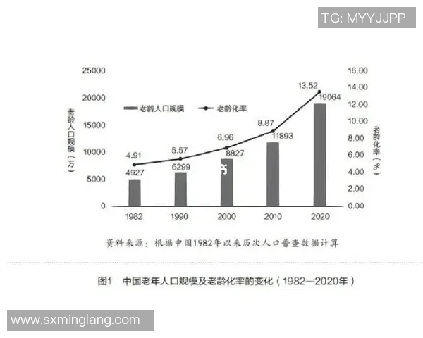 北京篮球队节奏表现分析：数据揭示球队风格与比赛策略的深层联系